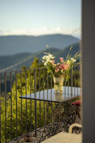 51Giardino 8