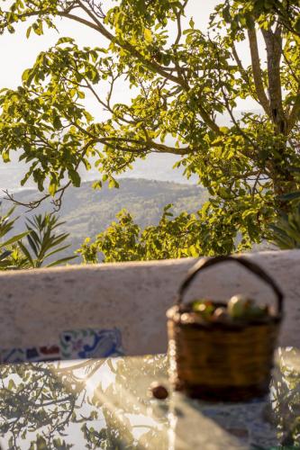 Giardino 19